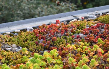 the cost of Tilney All Saints green roof installation