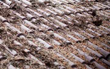 Tilney All Saints roof cleaning companies